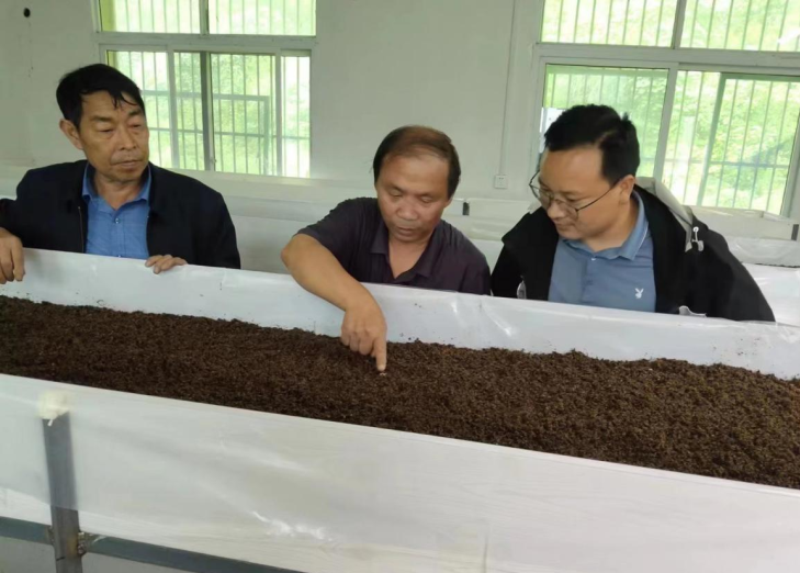 十堰公路:竹溪公路帮扶兵营镇罗汉湾村发展土元养殖产业--湖北省交通运输厅公路管理局